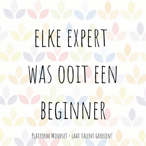 Beginner